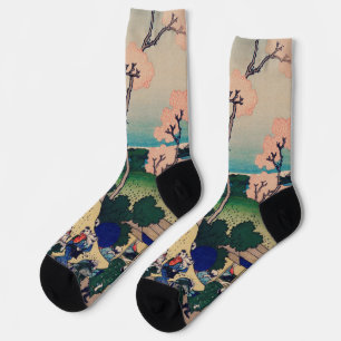 Calcetines Paisaje de los jardines de interiores de Asia