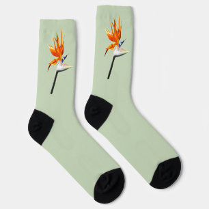 Calcetines Pájaro del Naranja del paraíso Flor tropical