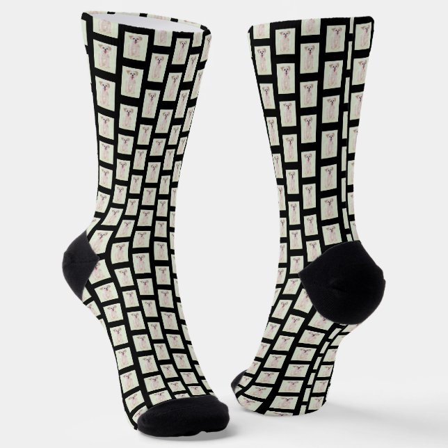 Calcetines para la tripulación de perros Morkie (Angular)