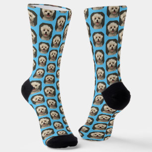 Calcetines Patrón de foto de mascota linda personalizada azul