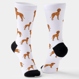 Calcetines Patrón de perro puntero de dibujos animados lindo 