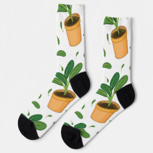 Calcetines Patrón de planta