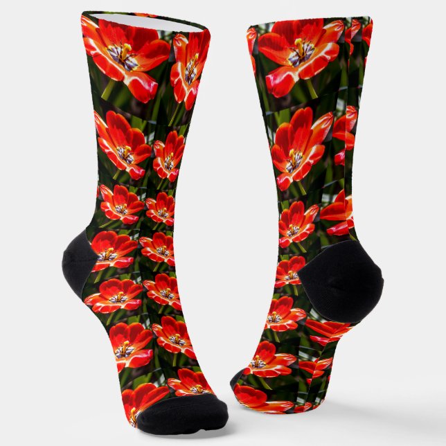 Calcetines Patrón de tulipanes rojos (Angular)