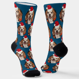 Calcetines Patrón fotográfico mascota Navidades de sombreros 