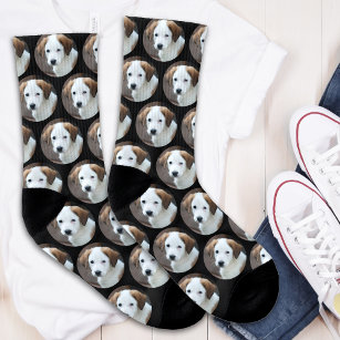 Calcetines Perro Collage de fotos Mascota personalizado