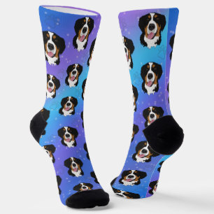 Calcetines Perro de montaña de Bernese