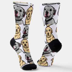 Calcetines Perros Memes Lindos