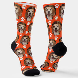 Calcetines Personalizado Naranja deportivo Mascota de fotogra