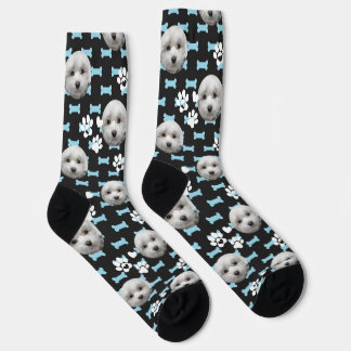 Calcetines personalizados de maltés — Regalo de fo