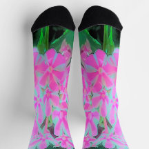 Phlox Jardín de menta blanca y rosa caliente