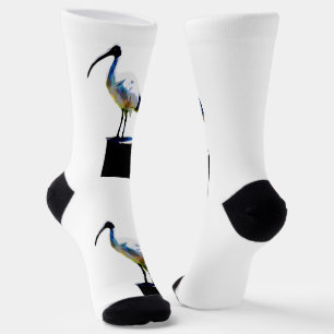 Calcetines Pintura de aceite de pollo Bin, zócalos de la trip