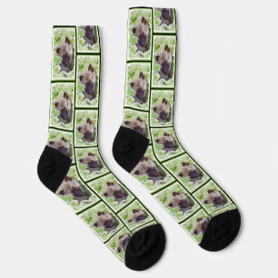 Calcetines Pintura de Keeshond Cachorro en el Jardín Arte Ori