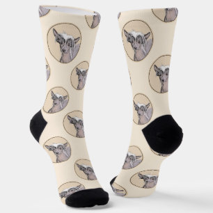 Calcetines Pintura Original de Perro sin Pelo Crestado Chino