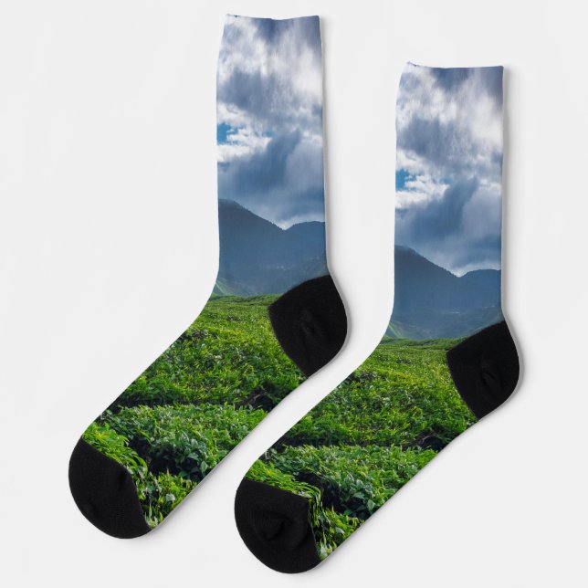 Calcetines Plantación de Té de Cameron Highlands (Izquierda)