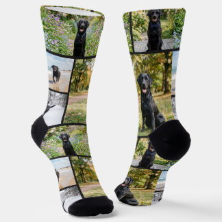 Calcetines Plantilla de 5 fotos divertidas personalizadas