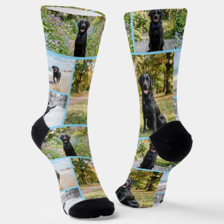 Calcetines Plantilla de 5 fotos divertidas personalizadas