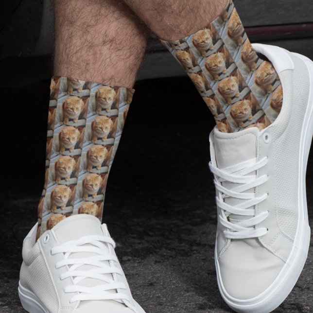 Calcetines Plantilla de foto regalo familiar gato perro masco (Subido por el creador)