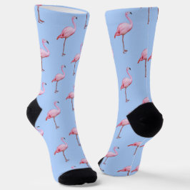 Calcetines Playa tropical tropical azul dulce rosa Flamingo P