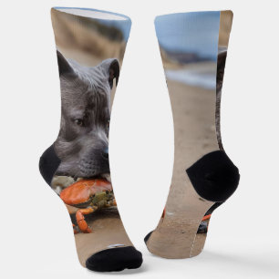 Calcetines "Playside Pals: un Staffy y su compañero de cangre