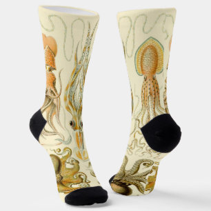 Calcetines Poulpo Vintage Calamar Gamochonia por Ernst Haecke