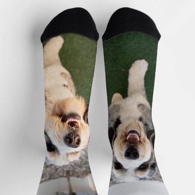 Calcetines Pupper Socks (Arriba)