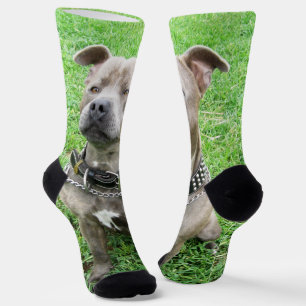 Calcetines Purebred Staffordshire Bull Terrier, Socks de trip