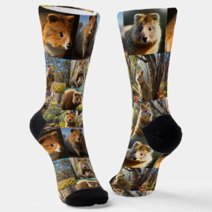 Calcetines "Quokka Chronicles: Un Collage de fotos conmovedor