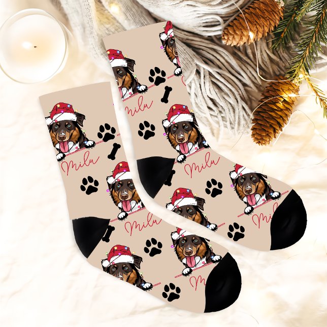 Calcetines Regalo de Navidad personalizado para perro Rough C (Subido por el creador)