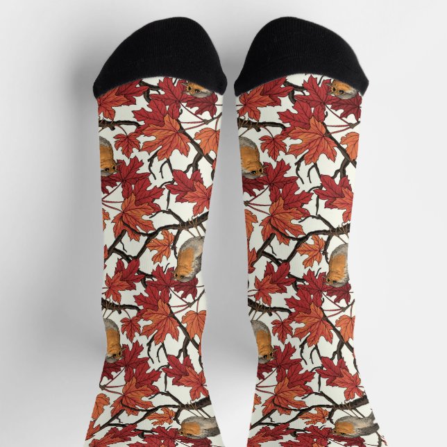 Calcetines Robins in maple tree on off white (Arriba)
