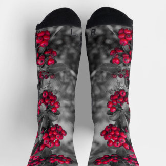 Calcetines Rojo y Gris de Bayas de Pyracantha