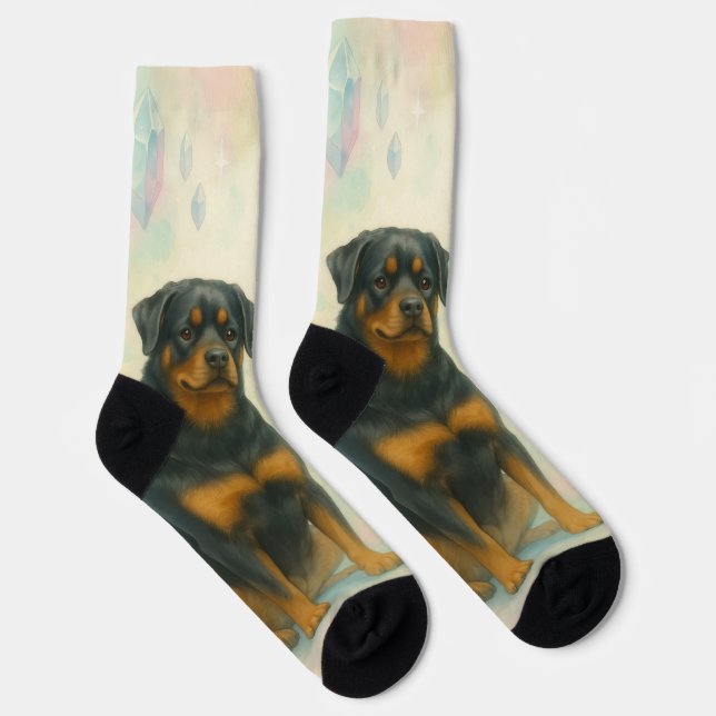 Calcetines Rottweiler and Alien Friendship (Derecha)