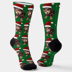 Calcetines Rottweiler Navideño Adorable Con Gorro Rojo De San