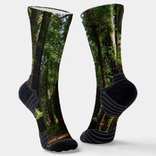 Calcetines Secuoyas y helechos en el Parque Nacional Redwood