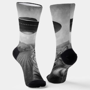 Calcetines Selfie de gato con regalos raros de gato de OVNI