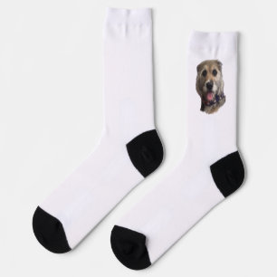 CALCETINES SNICKERS