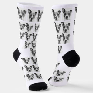 Calcetines Sock de la tripulación premium sostenible del pers