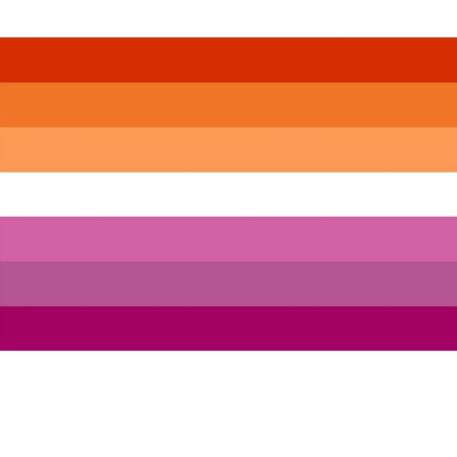 Calcetines Socks de bandera panafricana (Lesbian Pr4ide Flag)