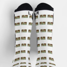 Calcetines Socks de Collage de fotos Mascota personalizados