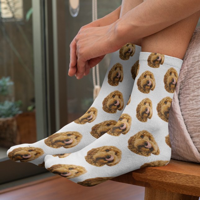 Calcetines Socks fotográficos Mascotas personalizados (Subido por el creador)