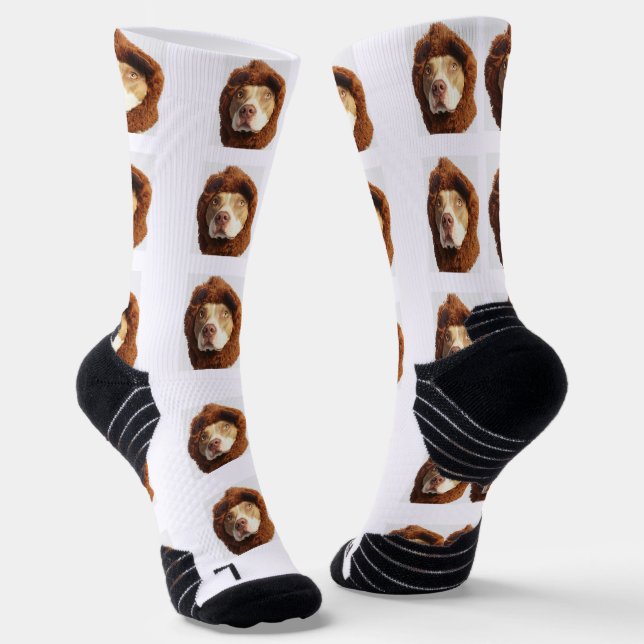 Calcetines Socks fotográficos Mascotas personalizados (Angular)