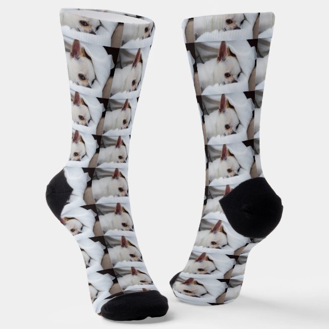 Calcetines Tu mascota perro cachorro personalizado foto patró (Angular)