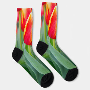 Calcetines Tulipanes rojos y amarillos vibrantes en jardín de