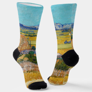 Calcetines Vincent van Gogh - Cosecha en La Crau