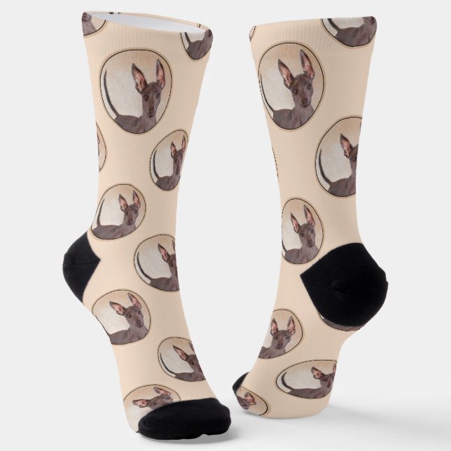 Calcetines Xoloitzcuintli Pintura de Hairless Hepal Red Dog A (Angular)