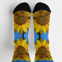Calcetines Zócalos de girasol