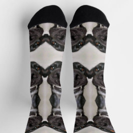 Calcetines Zócalos de perro