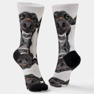 Calcetines Zócalos de perro