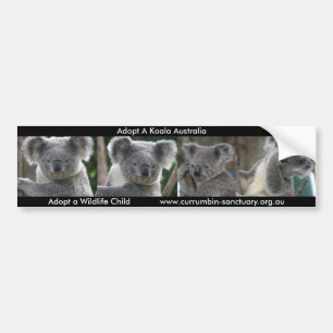 Calcomanía Adopta un Koala Australia