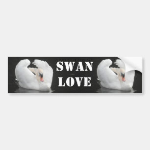 Calcomanía Cisne Nadando, Amor de Cisne