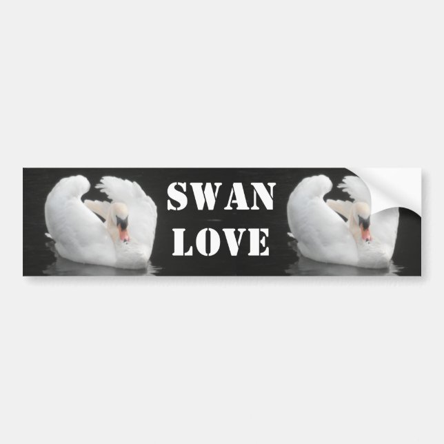 Calcomanía Cisne Nadando, Amor de Cisne (Frente)